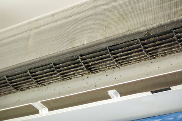 Best Affordable HVAC Duct Cleaning  in Hampton, AR